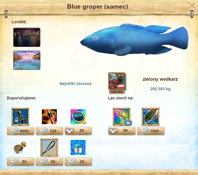 Blue groper (samec)